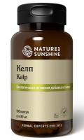 Келп НСП Kelp NSP.