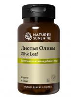 Листья оливы НСП. Olive leaf NSP
