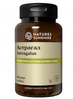 Астрагал НСП Astragalus NSP