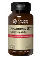 Кордицепс НСП Cordyceps NSP